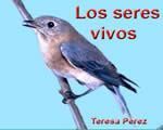 5actema1