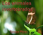 5atema3