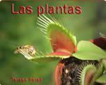 5actema4