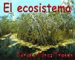 6atema1