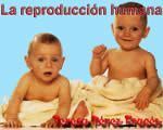 6atema5