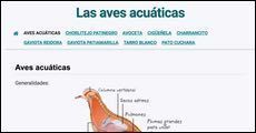 Las aves acuaticas