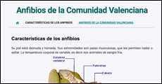 Anfibios de la Comunidad Valenciana