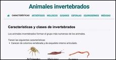 Animales invertebrados