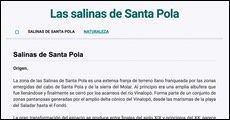 Salinas Santa Pola