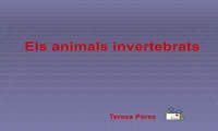 animals invertebrats