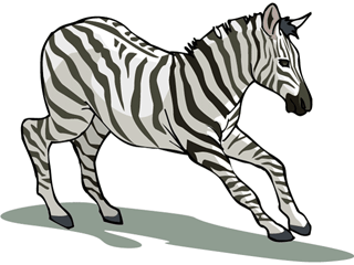 vertebrados
