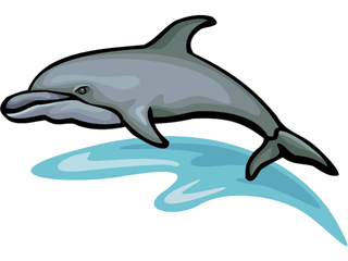 delfin