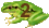 anfibios2