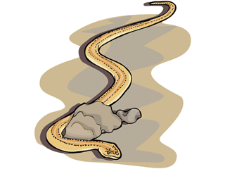 serpiente
