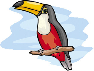 tucan