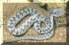 reptiles-culebra