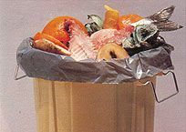 basura organica